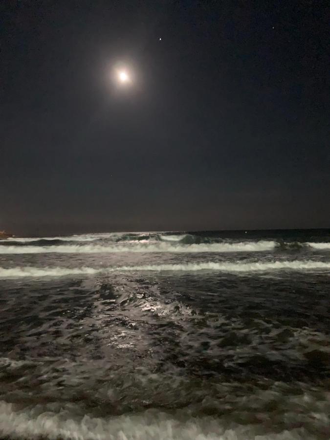 Apartamento En Primerisima Linea De Playa Con Espectaculares Vistas Netflix, Prime Y Disney Oropesa del Mar Eksteriør bilde